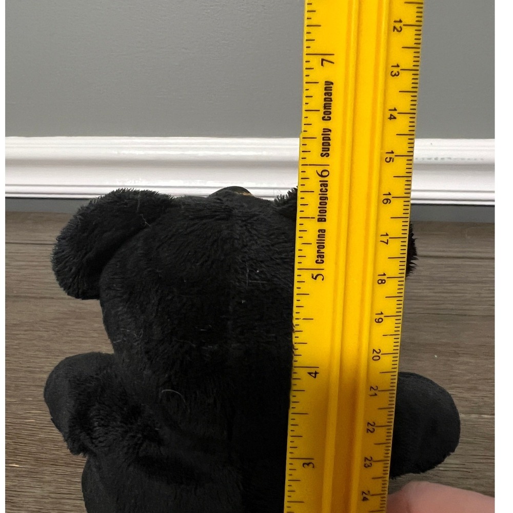 Tennessee Souvenir Plush Bear Black Beige Embroidered State Flag Souvies Toy - Picture 6 of 6